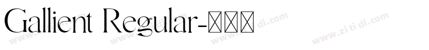 Gallient Regular字体转换